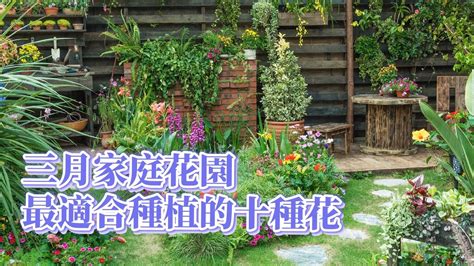 庭院種植|適合庭院種植的20種花草，春夏秋冬花開不斷